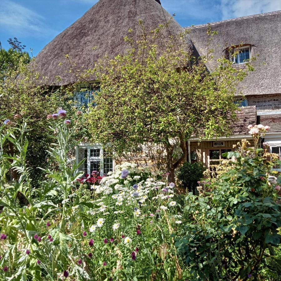 Tudor Cottage B&B Frampton Dorchester Exterior foto